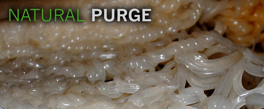 Natural Purge